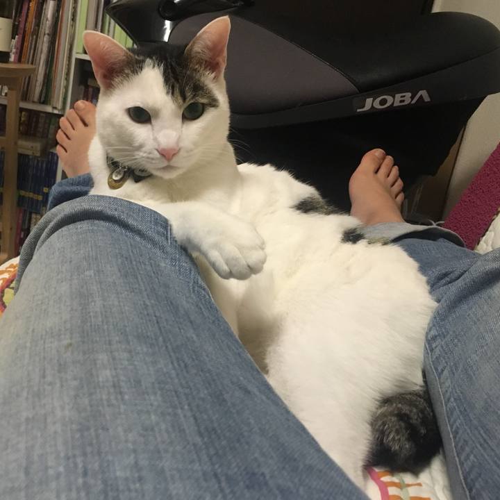 75e46a80 4296 4696 a739 263c14ccfc7c 1514297209474