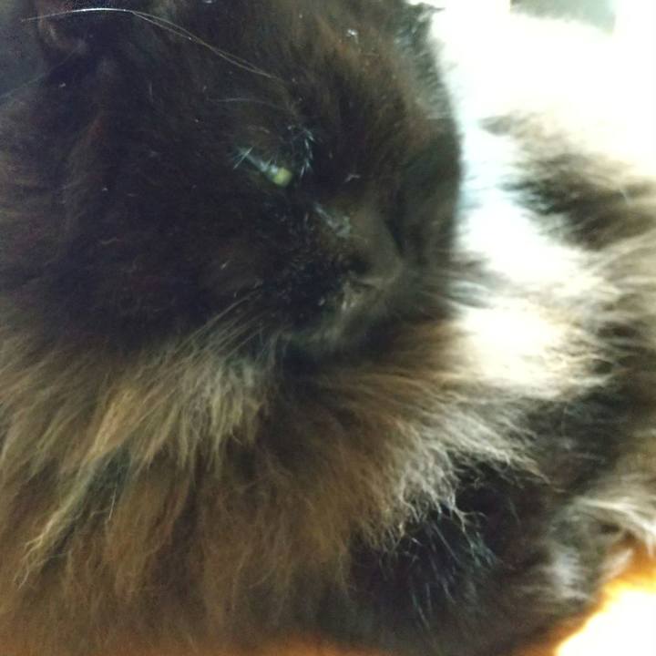 75e49928 e24b 4c2d 9b8c 640e7d112f57 1665313099747