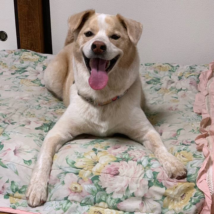 75e4aff9 f1c3 4728 810d edec52b93024 1563092817608