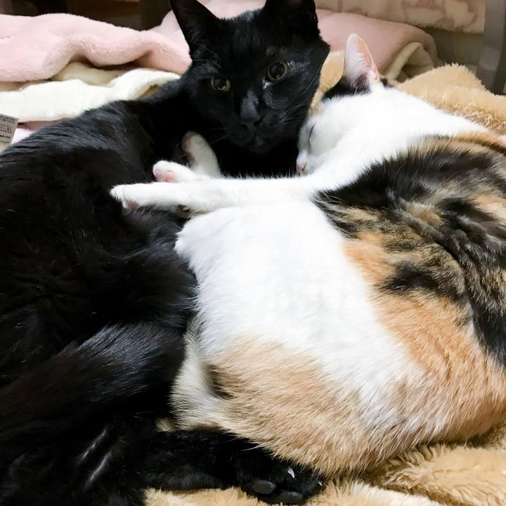 75e4b635 e24c 4c51 beac dc5367d5349b 1520172410539