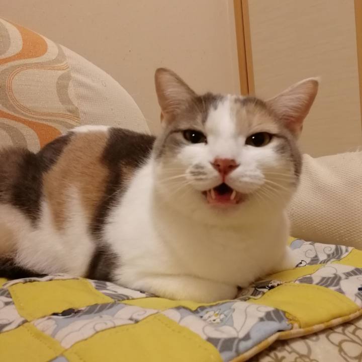 75e4c6c9 d79a 43f4 bb8d 7264a1c1dcf9 1553690788448