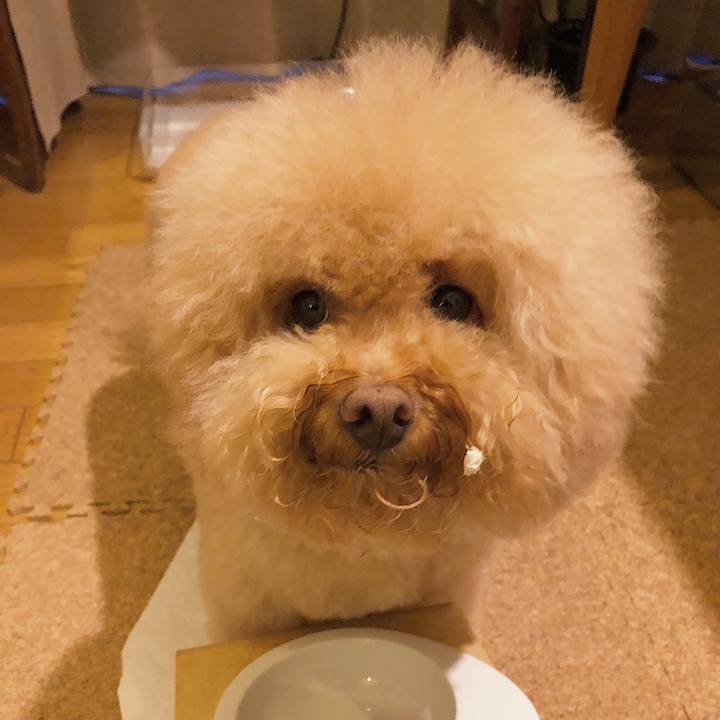 75e4d49c 7efd 47ce 9e5a 04a838e6f63d 1532510698236