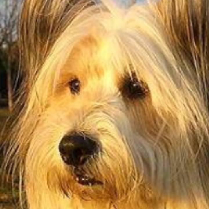 75e512c1 4659 4a0c a434 0444d59300dc 1509711420415