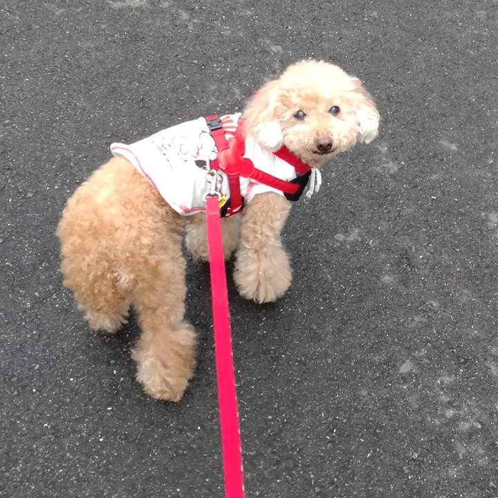 75e52f22 9f18 4d1d bfcf aa2a12d044cb 1652830159855