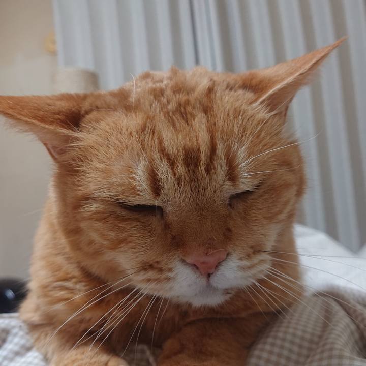 75e54d51 e11c 475e b116 2ed927a97c46 1714348750453