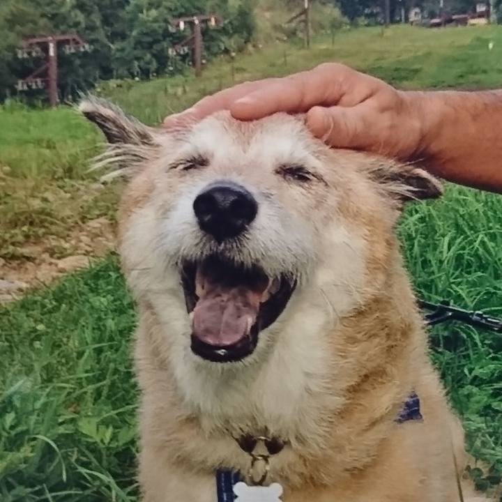 75e5bf57 49d2 414a a9e3 fcc85d396f6a 1607847982265