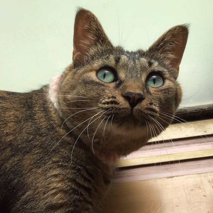 75e5d097 7ea0 4e87 a2a5 3f4f6ed1822c 1691324574498