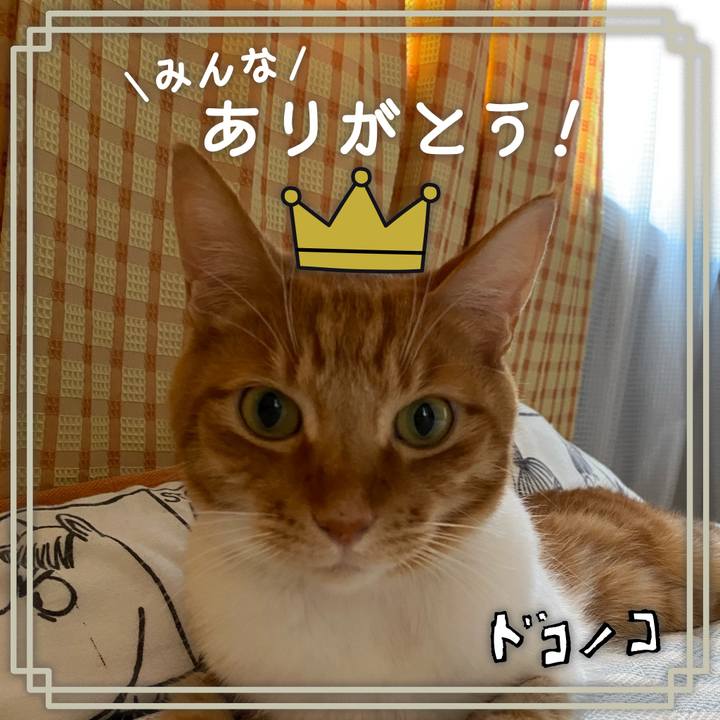 75e5e67f 61f8 4c16 868a a8e238e521f1 1622871768283