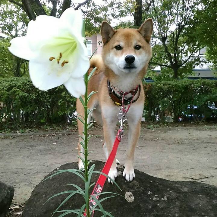 75e617f1 d0e2 483d 829c c24aaa5baa0a 1566784720133