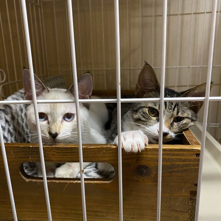 75e65530 768a 4ca7 85b2 50de486ca279 1631094201944