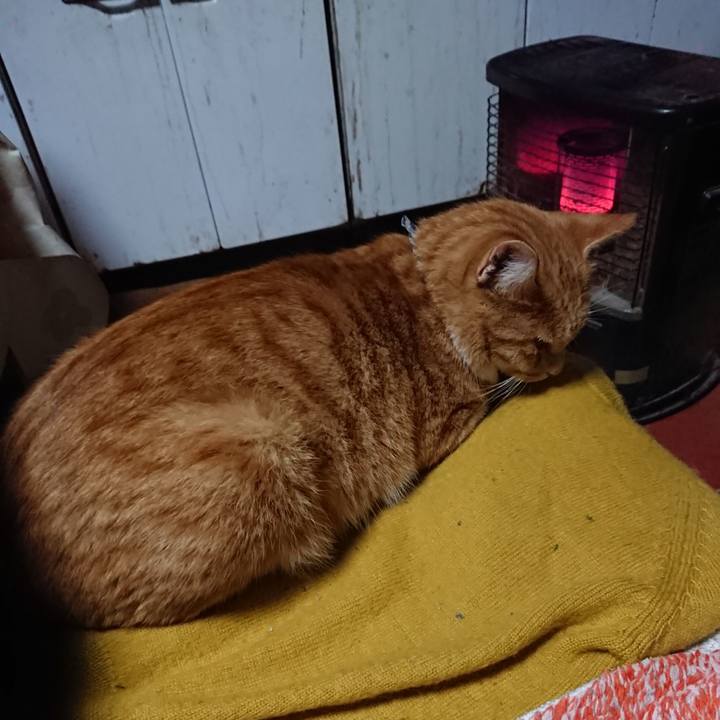 75e6a328 1d2c 440f 99b9 38ddbe07f97d 1571222654591