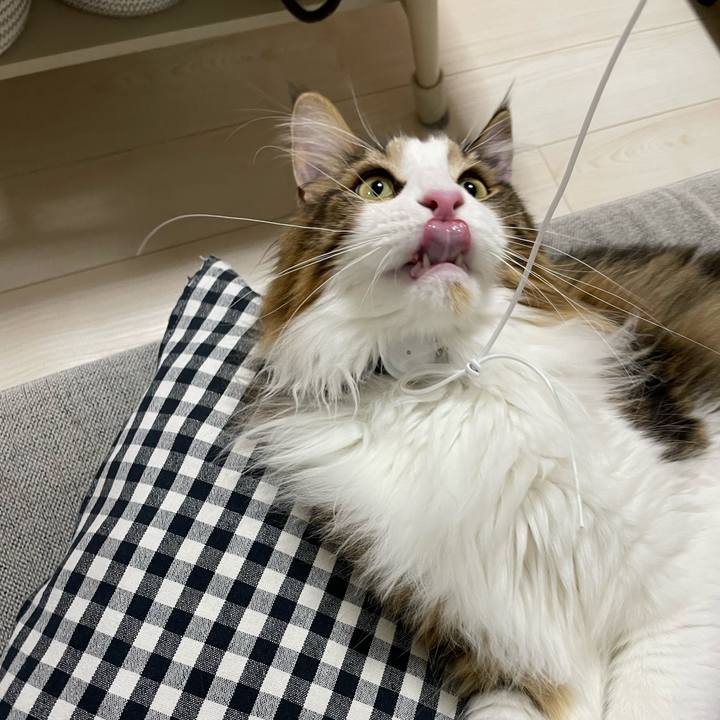 75e72348 695f 4a87 aa77 b8c683d690b0 1657802159489