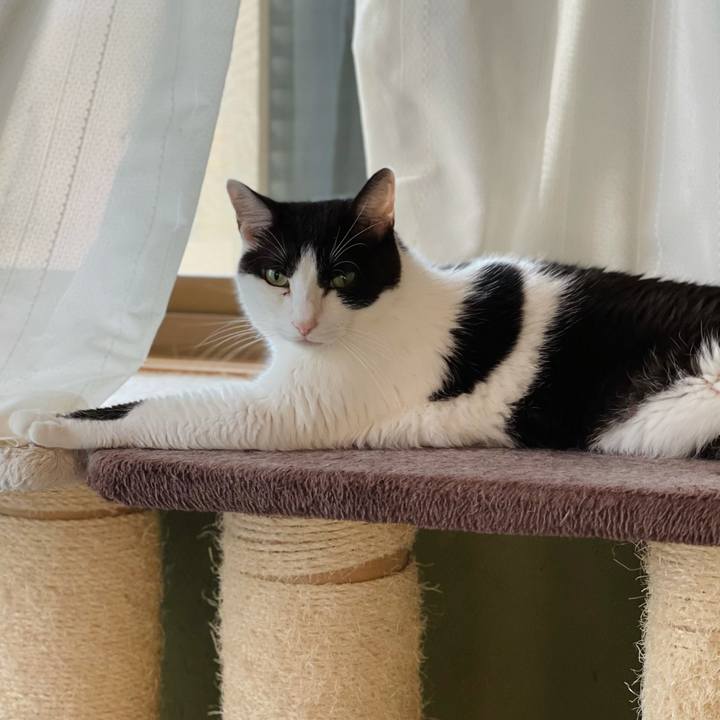 75e73886 6d51 4253 a67c 09e709371f5a 1629942558610