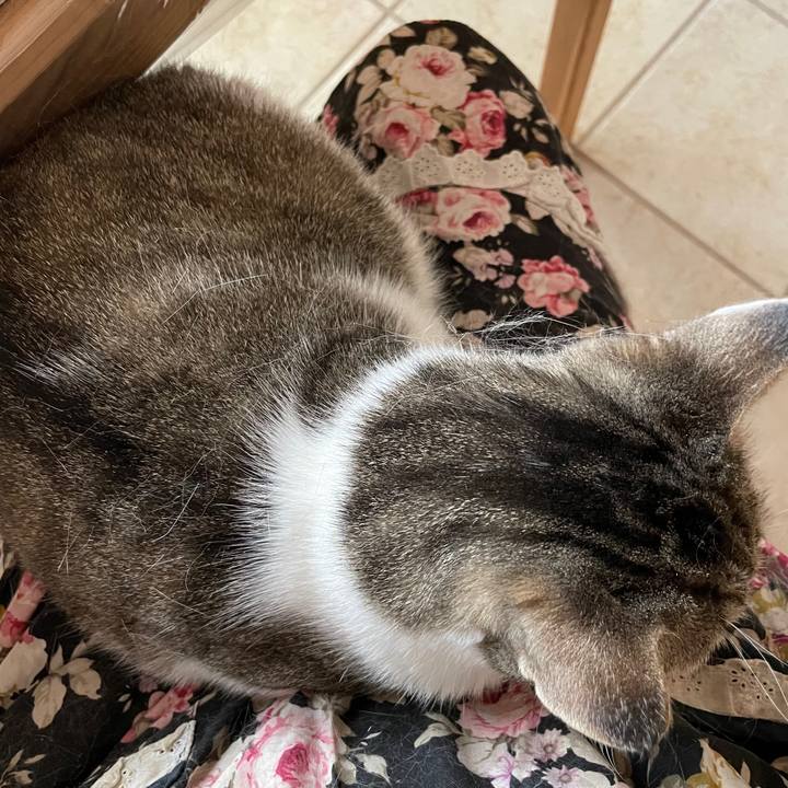 75e773da 0980 4475 b35f 8c2af9672824 1695508204500