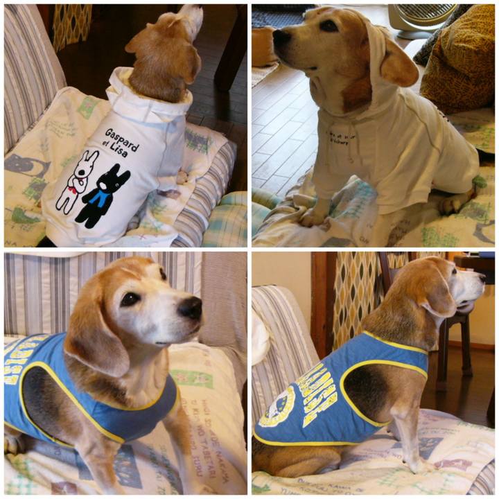 75e78fc4 7d70 4ca7 bb76 af3cd0b0e1f4 1654564513863