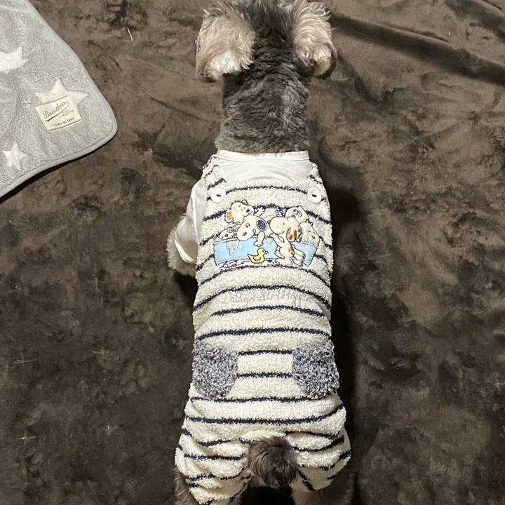 75e7c608 8c25 4e58 afba cb8b76c36ec4 1574691494788