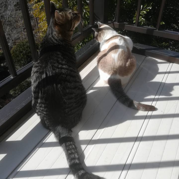 75e7d4d4 7676 4a72 a832 d01b34d19a84 1518919114678