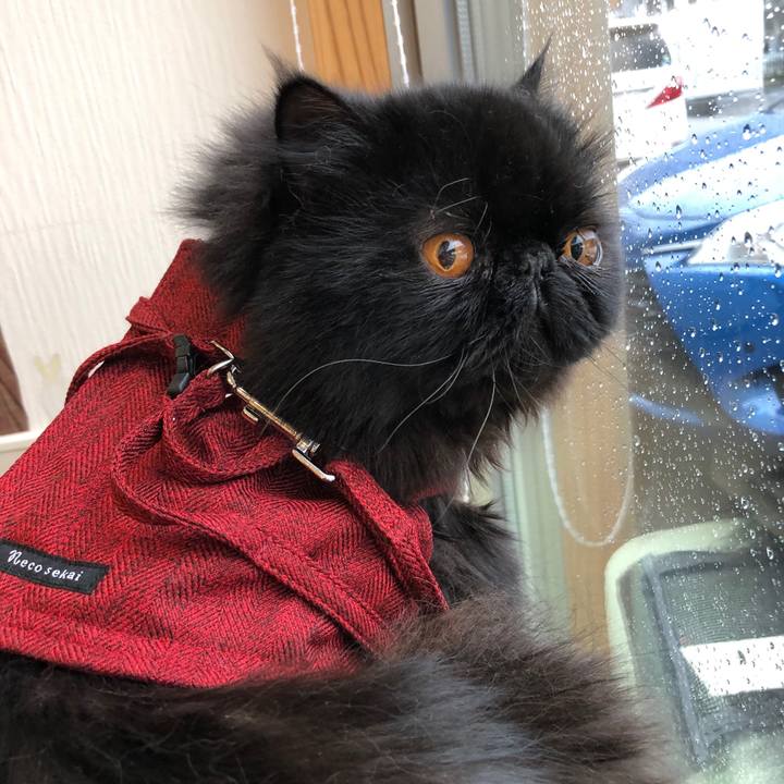 75e7e1d3 67f8 441d a062 65c9e212b149 1549442208584