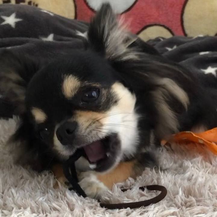 75e81532 7f50 40bb b83e 5fabbeabdb4d 1558391898071