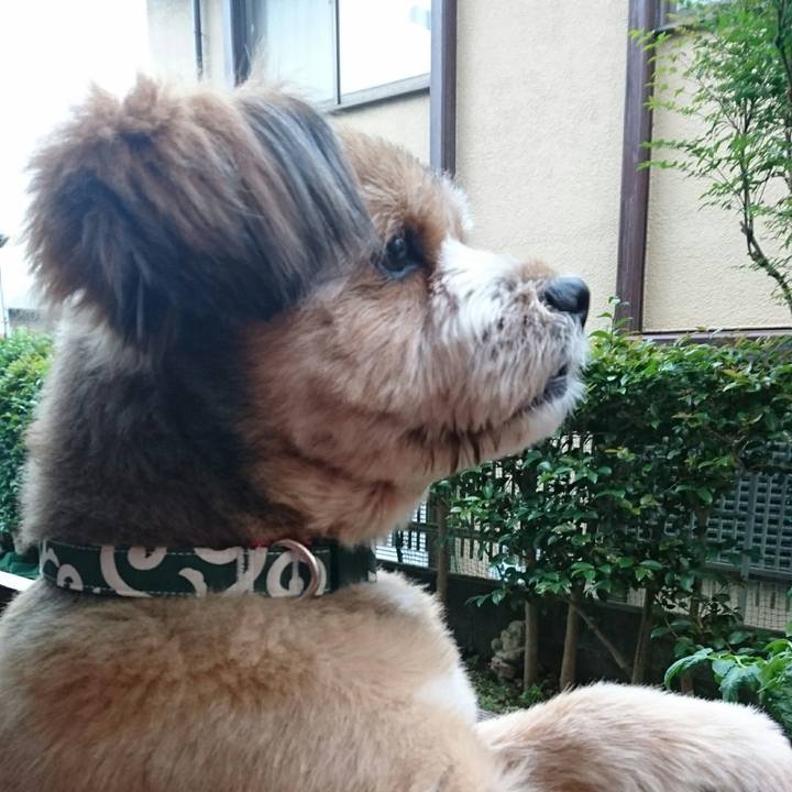 75e8995f e946 48e7 8923 53c9655a91bb 1527422853130