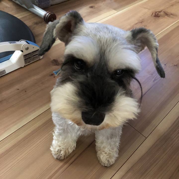 75e8bef2 5616 4639 9fbd 62f9f57dd3d7 1531014405472