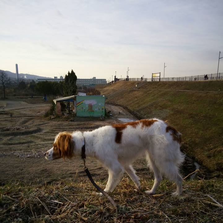 75e90951 4eac 42f9 9d8c 8b5e10a08aa2 1519344517487