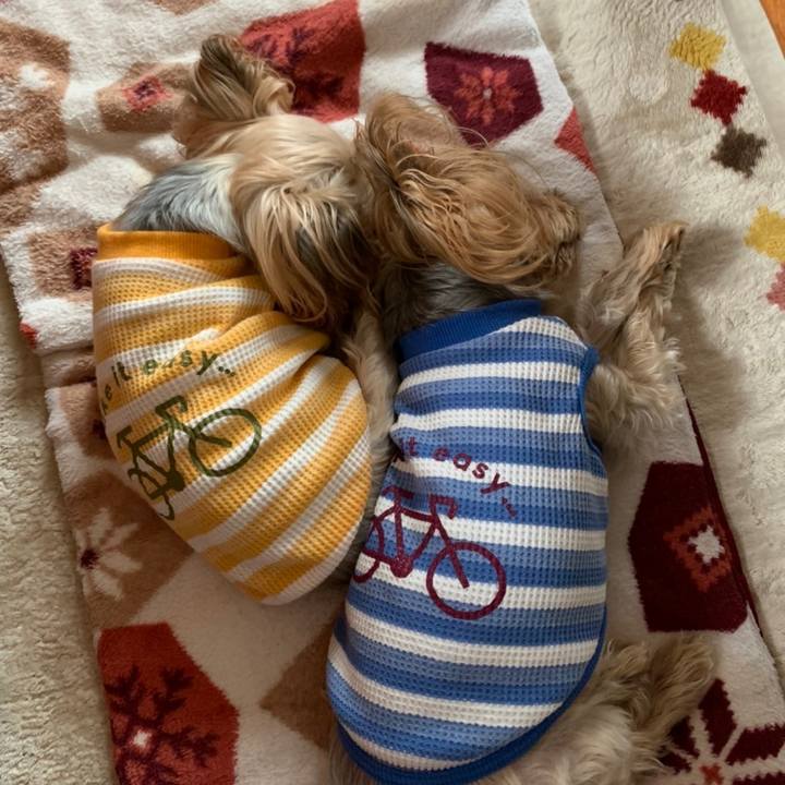 75e90ff4 bed0 4628 9146 52207a5a040b 1638610833691