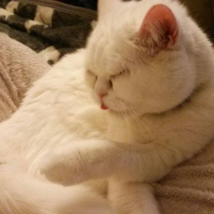 75e963fb 5116 473d 992c e2539e2f40d5 1522594952138