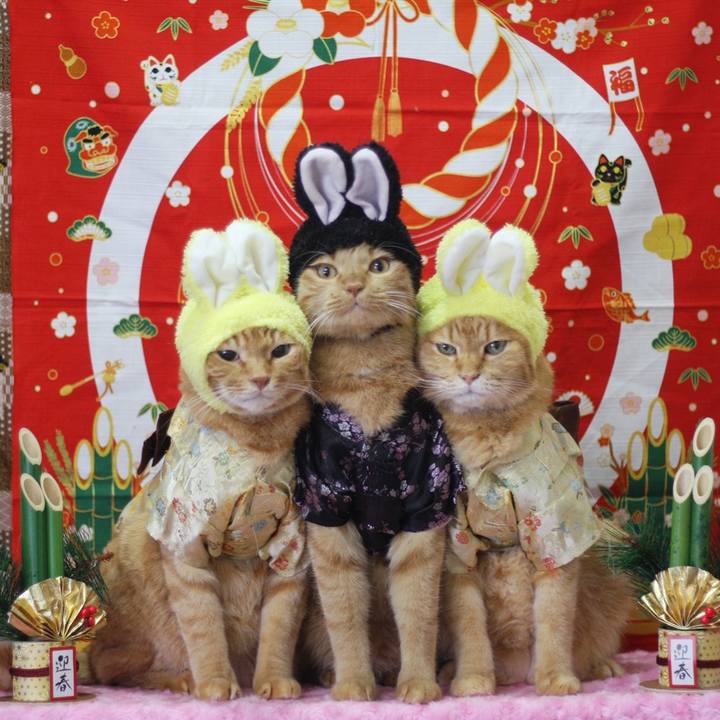 75e9785e 44ae 4232 b548 0bd264112dcb 1672503762806