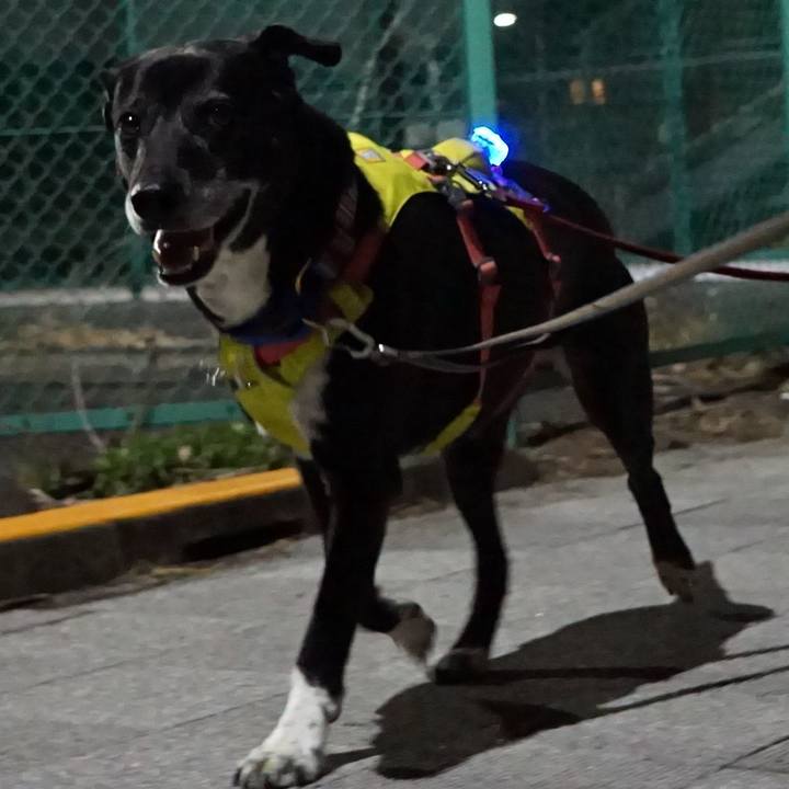 75e9867c e696 4300 a96e 4fea5e05c3fe 1773573259830