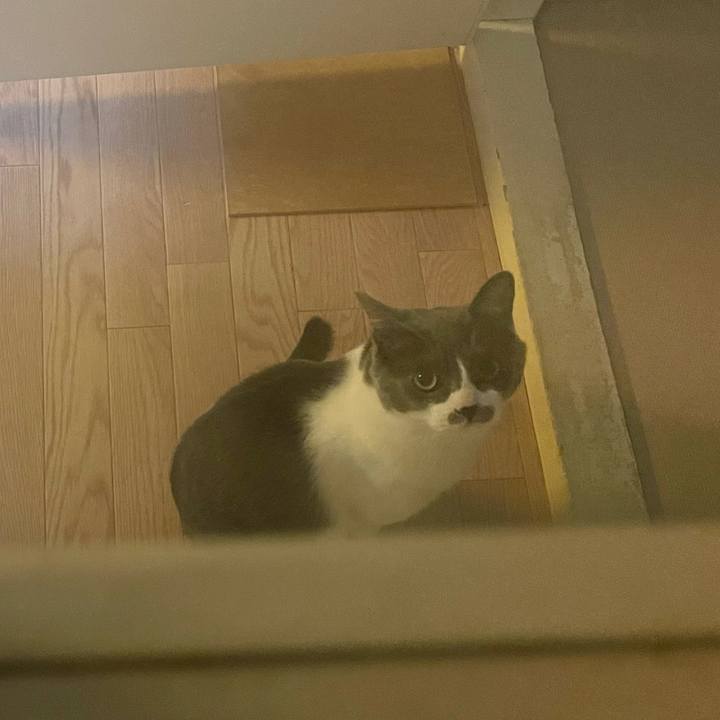 75e9ae52 1563 4bb4 b07c 7501d621d5de 1650440320675