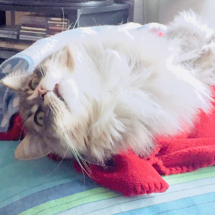 75e9b6ca 6b97 450c a627 4ed971cb9749 1513486974619