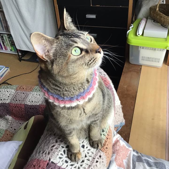 75e9c228 96dd 44ea b2c0 5d419764fb2c 1620340115422