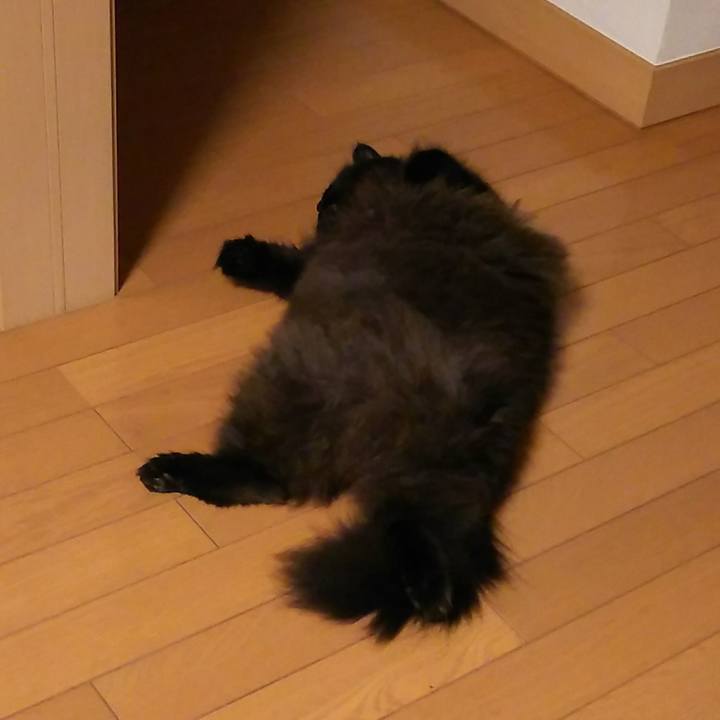 75e9fcd0 8448 4e16 93af d1687c14dfed 1533041490206