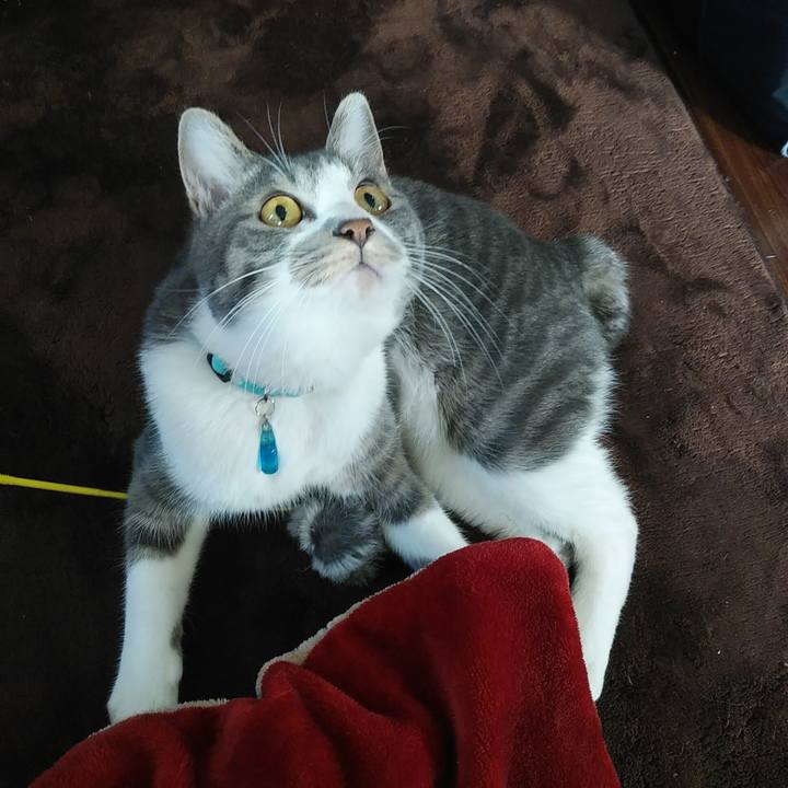 75ea26fe 3e97 460b 971a 165f337e9a2c 1581466130722