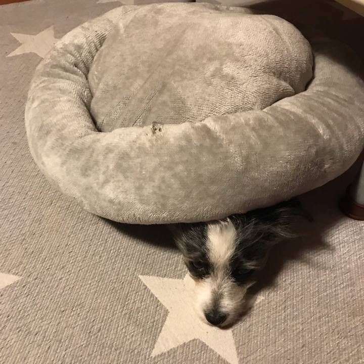 75ea2f9b fbb0 46ab 96c1 f4207494e9b1 1544452982355