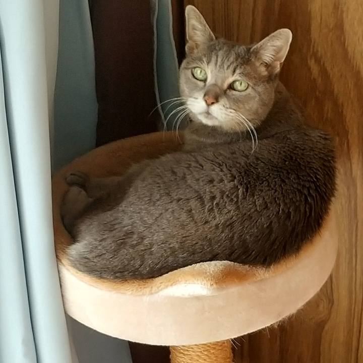 75ea8c1b 54ff 49ff a2a9 32e8acbf5196 1675830649783