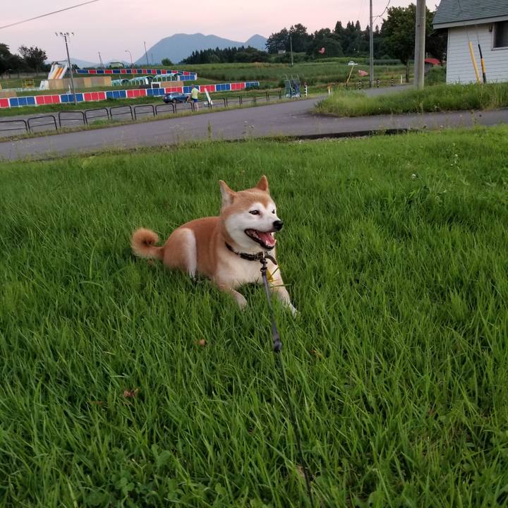 75eaa22b c8b9 4b12 8073 92d855fd74ed 1597829994665