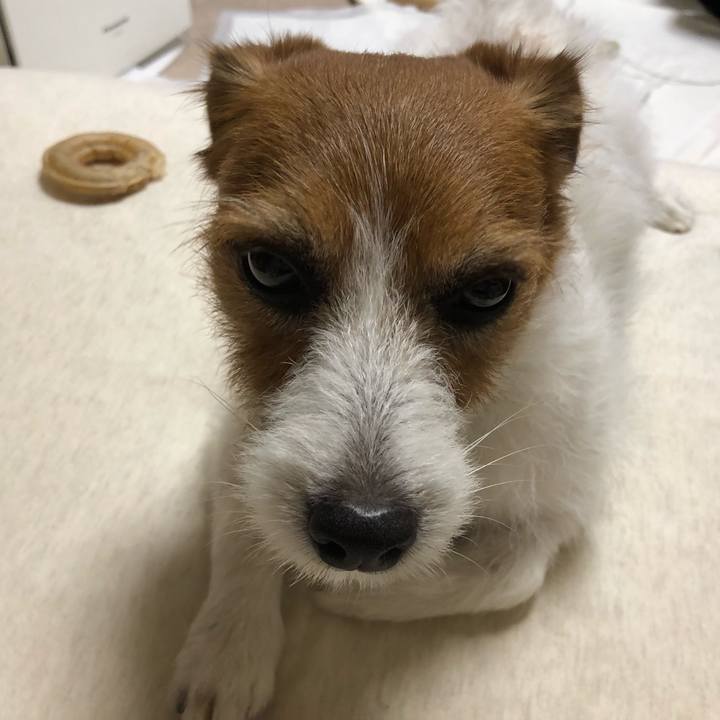 75eaa76e 780d 4ea9 9e41 10aa4cc5e6f6 1559991845155