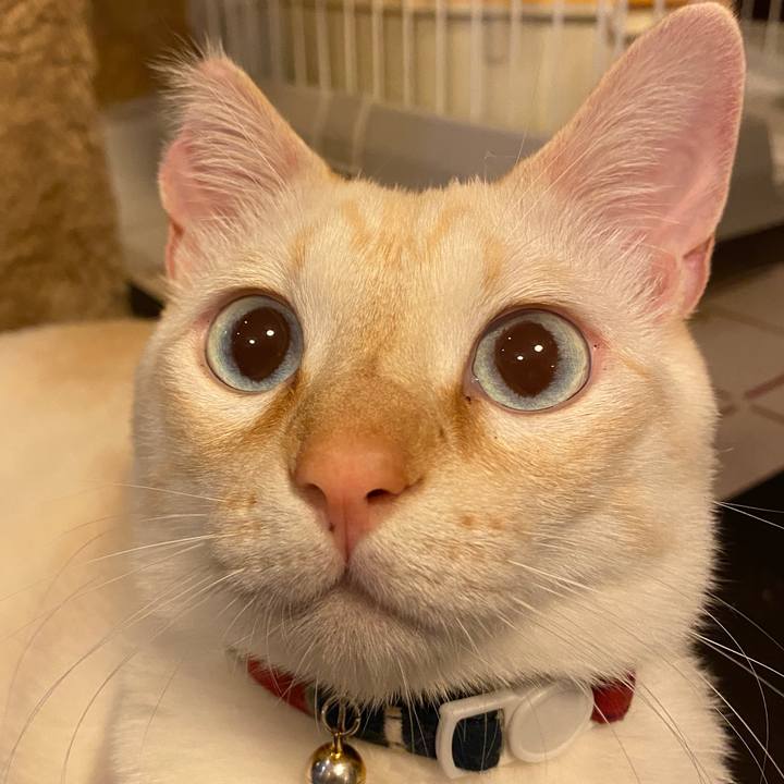 75ead18f d014 4a6c 9a77 54bb84122b2f 1639610787371