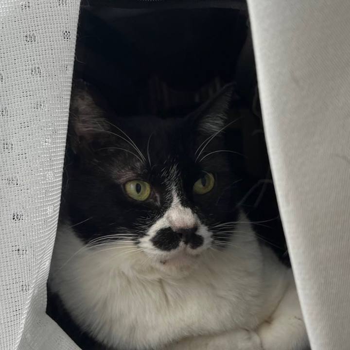 75eae6fc 25ab 49dd b8e7 c07434ea165e 1685349922722