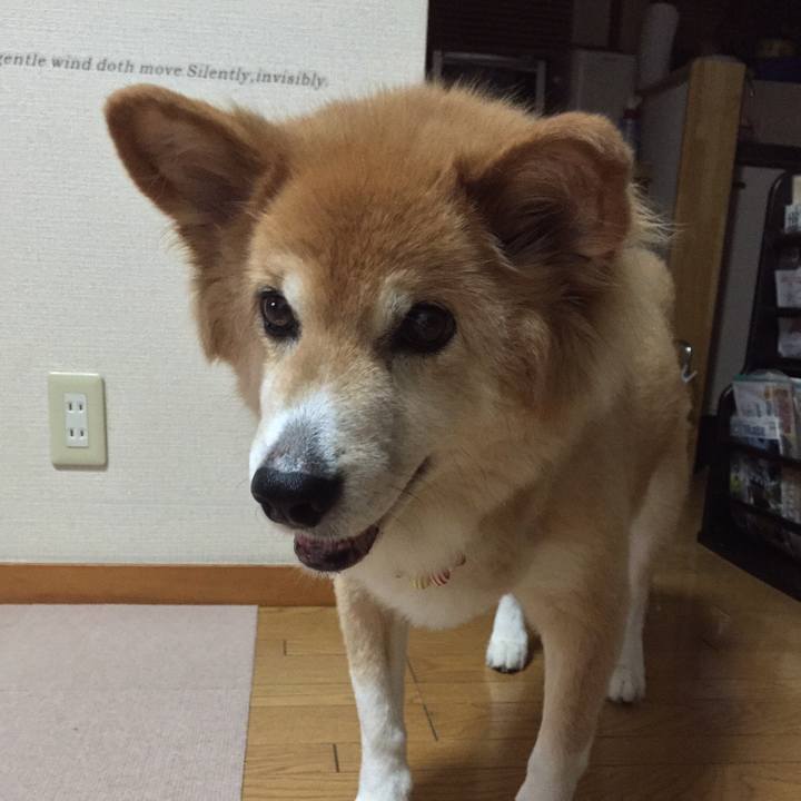 75eb12d2 311a 42ef af3a 64b736026724 1513158865771