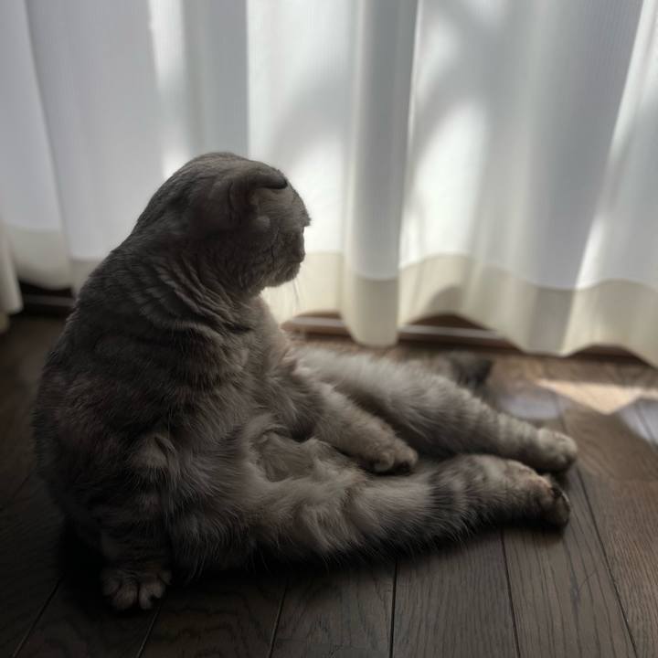 75eb1c3d b524 41e8 ba2e 528a2aa89d8f 1758283353328