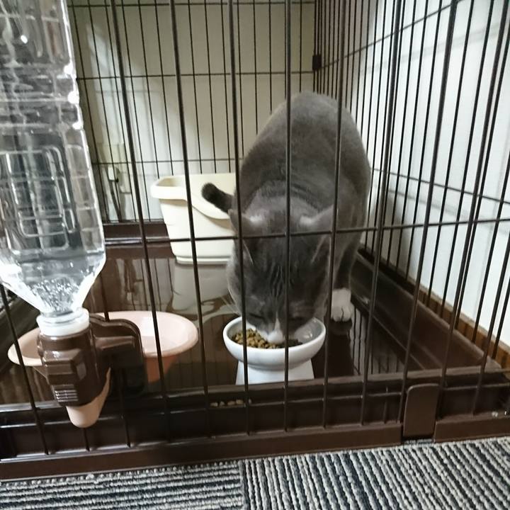 75eb5b06 51e1 409b be4b 9eb939a1a79d 1514336643905