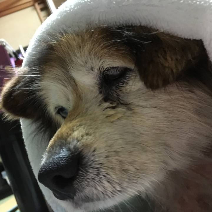 75eb68f4 b3ee 4dde 91e4 62b503926c9b 1588294354338