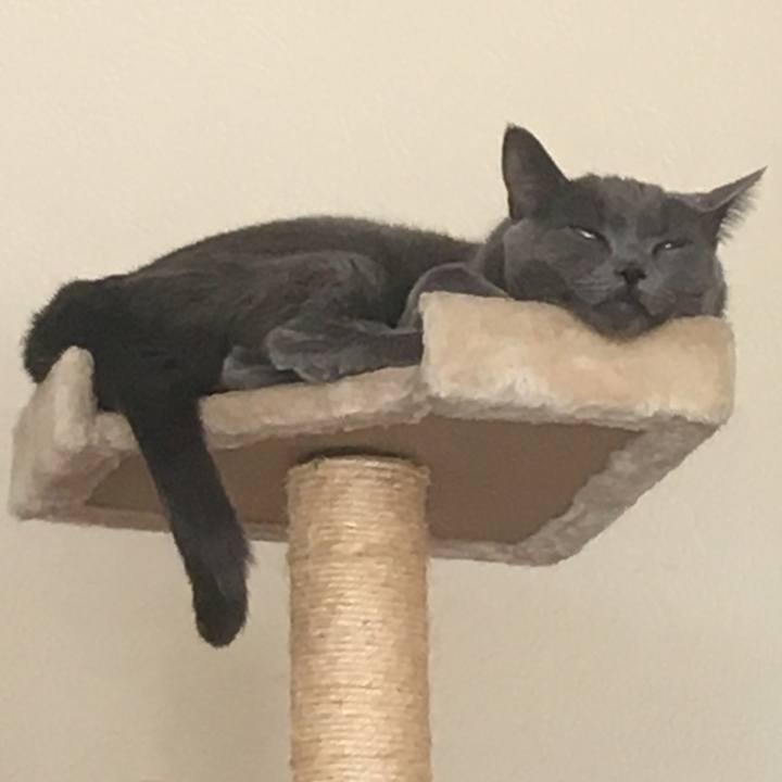 75eb696d 7255 44e3 a6dd d926727e2566 1645302596610