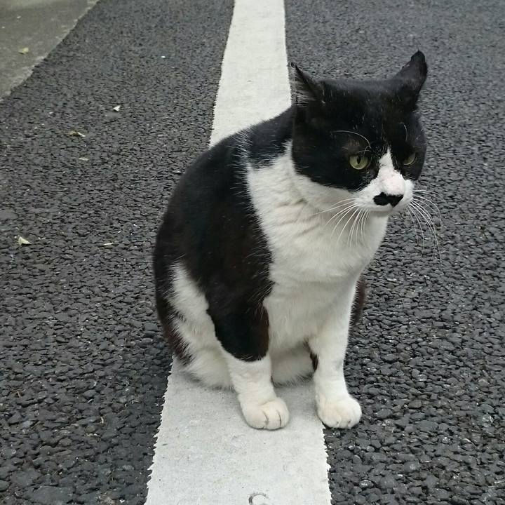 75ebdfd9 8f7d 4fbe ae35 177ae291affa 1514082248576