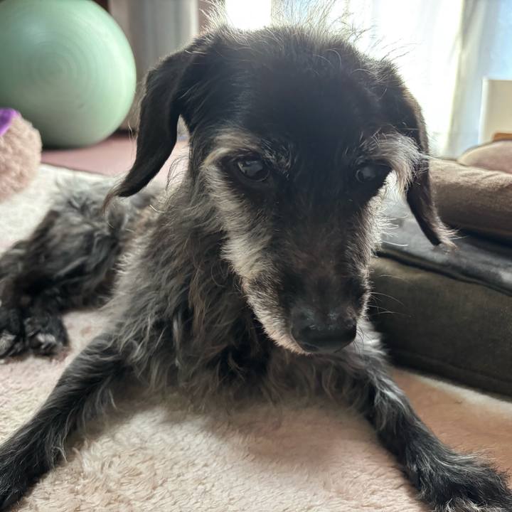 75ec22d8 c662 43bd ad73 6c91809d4f3e 1763076728742