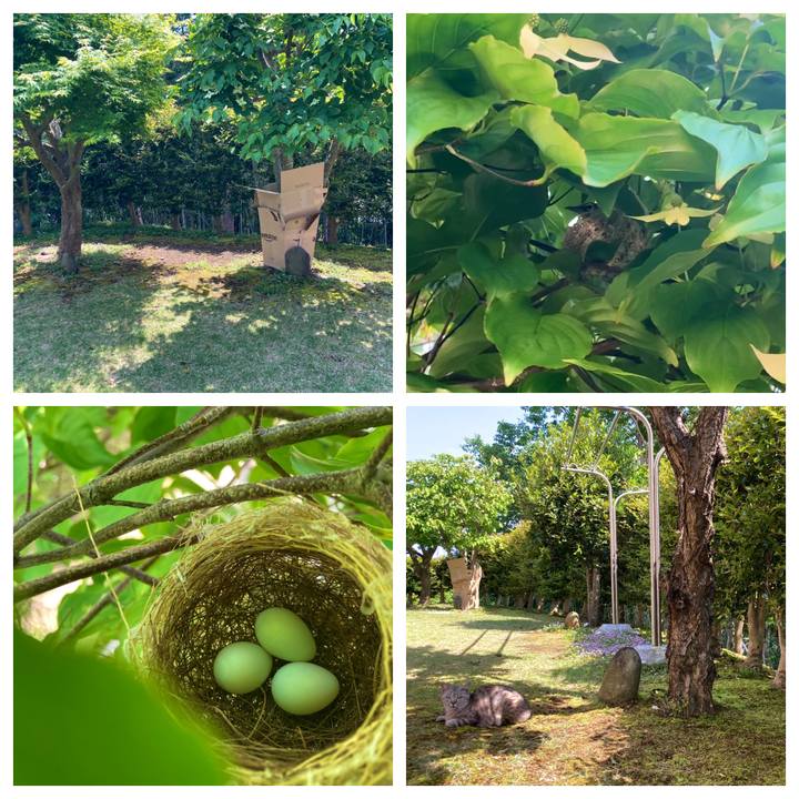 75ec238b f9d9 4150 9022 802f9e4b4353 1683340011143