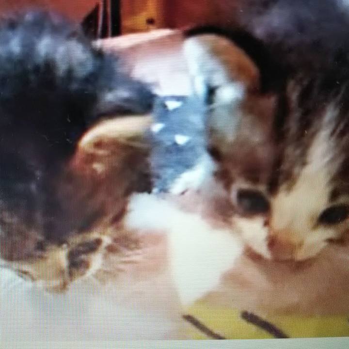 75ec28b7 5039 4dd7 875a b9be76664938 1614438841726